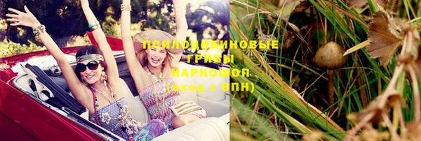 синтетический гашиш Переславль-Залесский