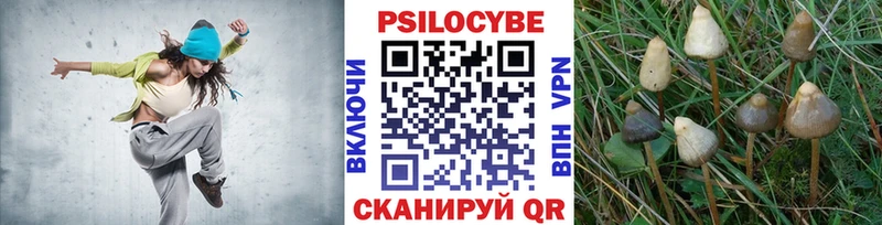 Купить закладки  Сенгилей  Псилоцибиновые грибы GOLDEN TEACHER 